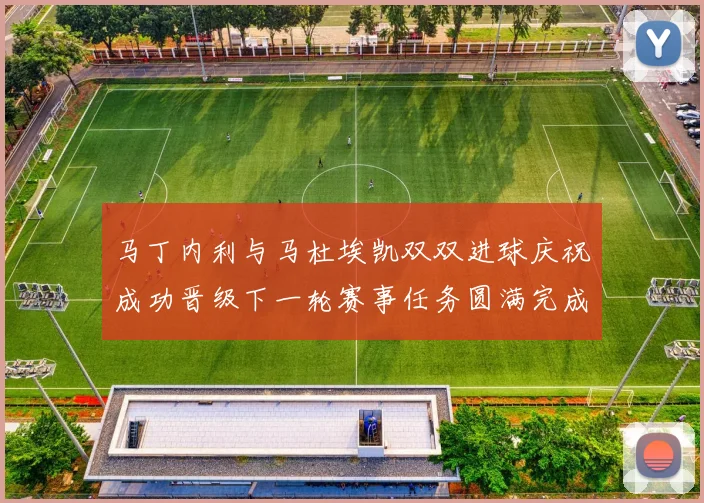 马丁内利与马杜埃凯双双进球庆祝成功晋级下一轮赛事任务圆满完成