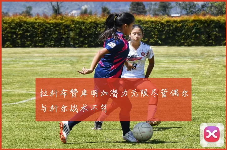 拉科布赞库明加潜力无限尽管偶尔与科尔战术不符