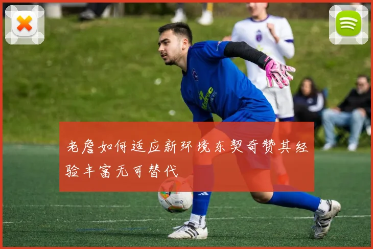 老詹如何适应新环境东契奇赞其经验丰富无可替代